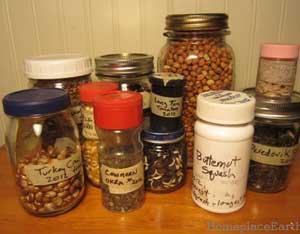 Why You Should Save Seeds Image